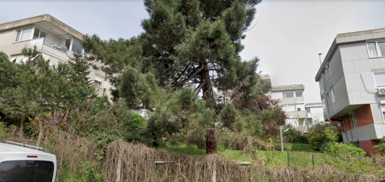 Gülen Sitesi